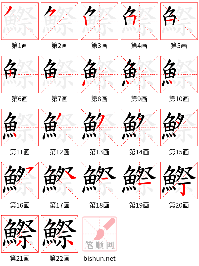 鰶 笔顺规范