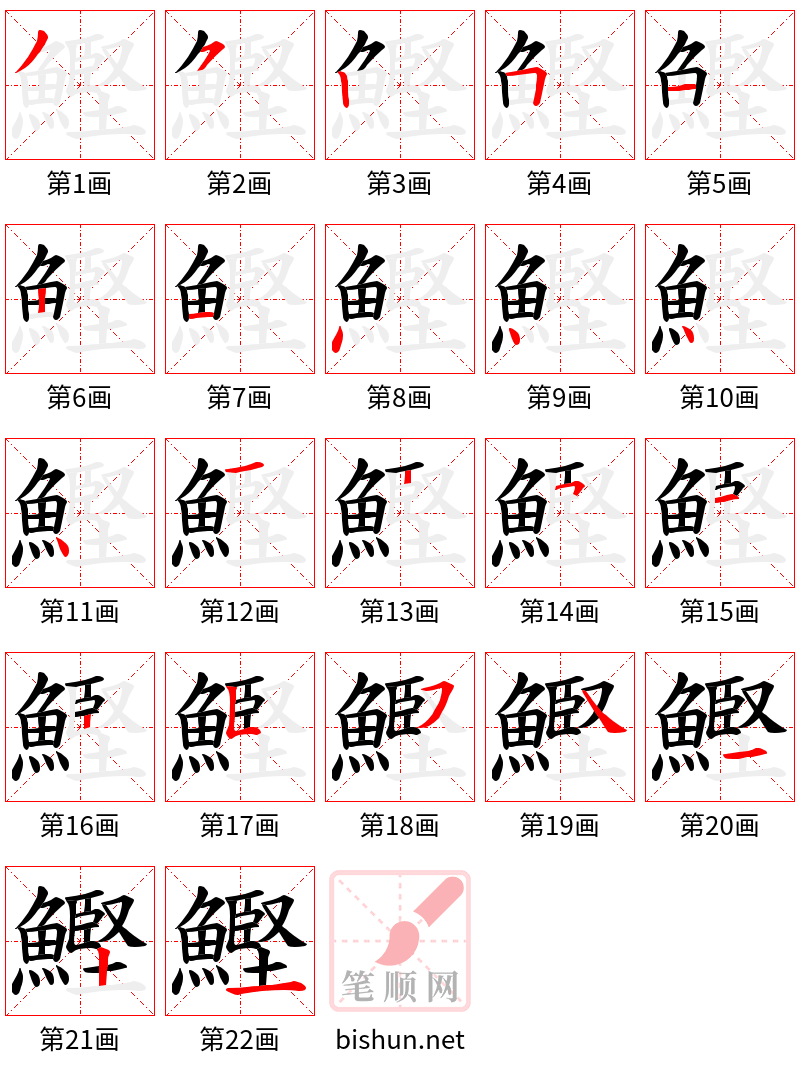 鰹 笔顺规范