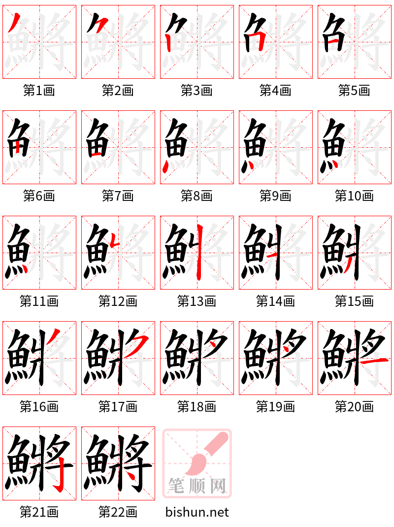 鱂 笔顺规范