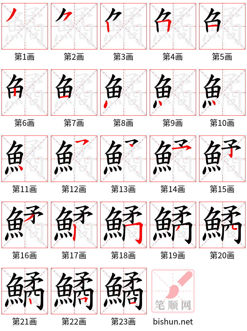 鱊 笔顺规范