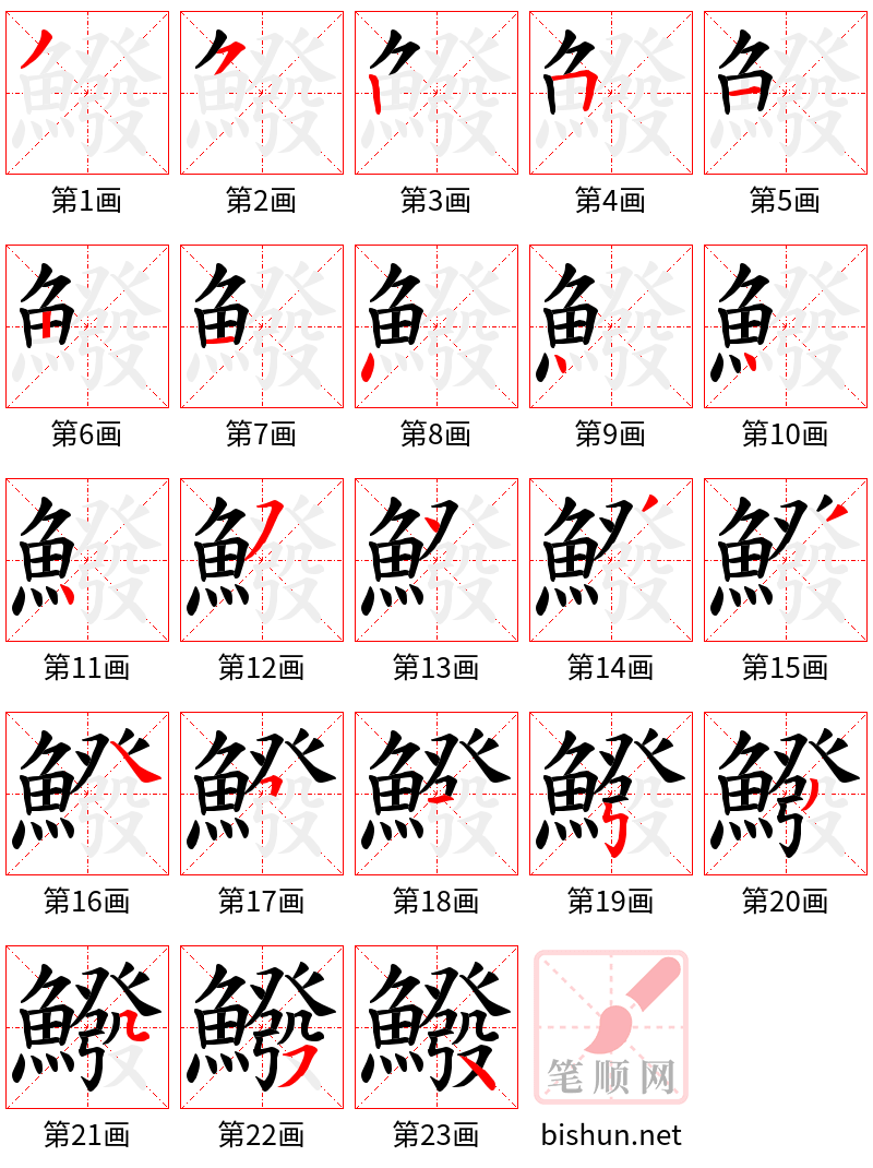 鱍 笔顺规范