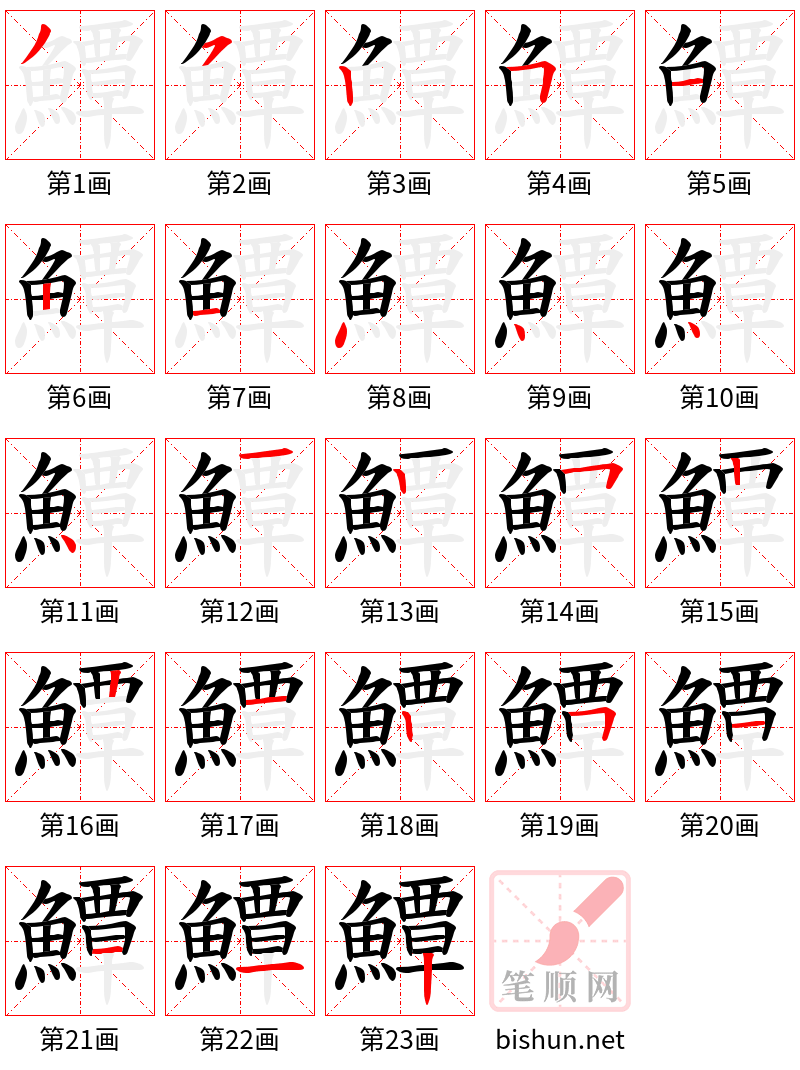 鱏 笔顺规范