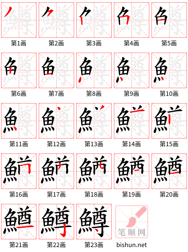 鱒 笔顺规范