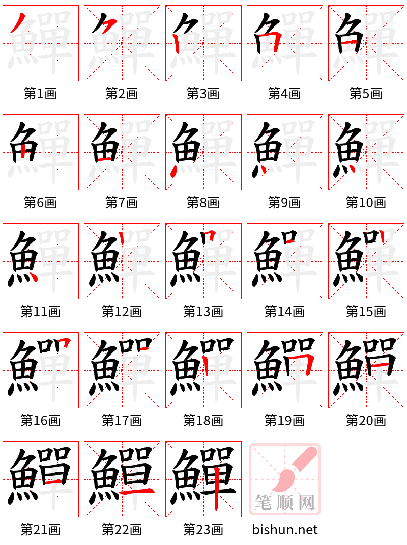 鱓 笔顺规范