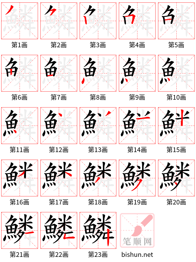 鱗 笔顺规范