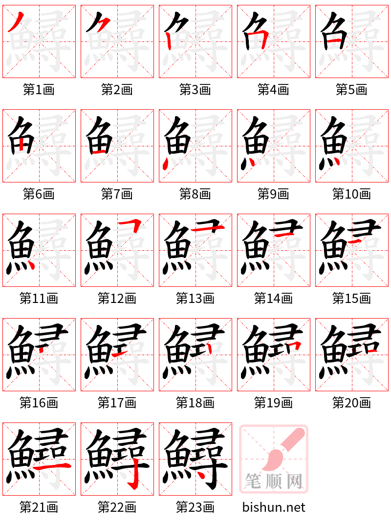 鱘 笔顺规范