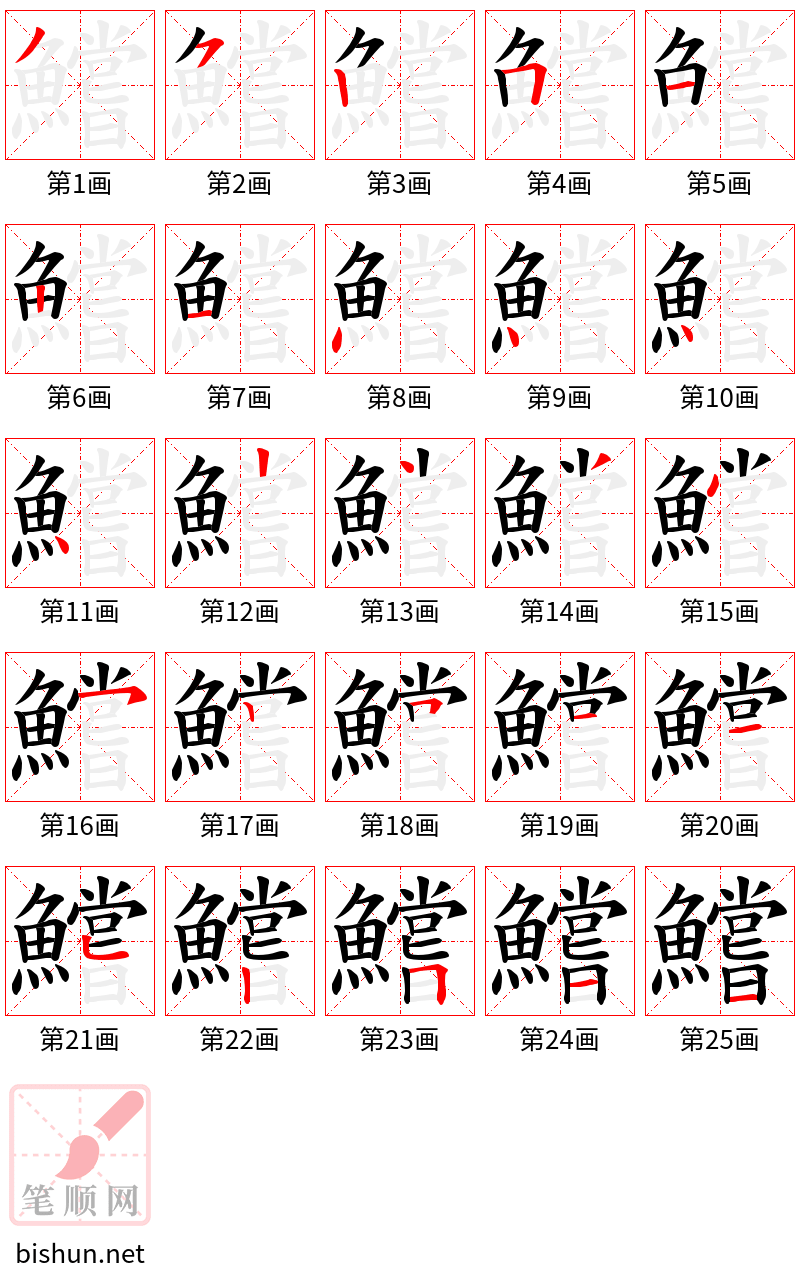 鱨 笔顺规范