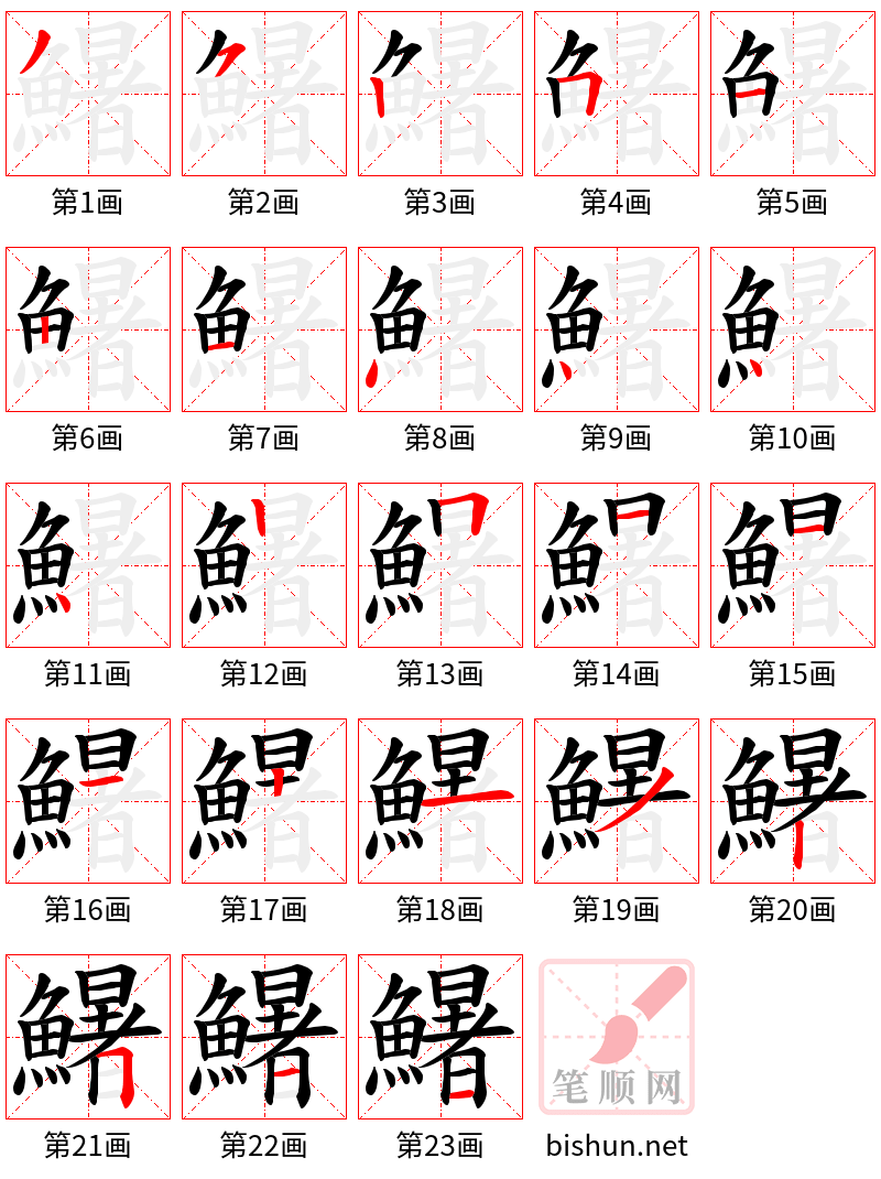 鱪 笔顺规范