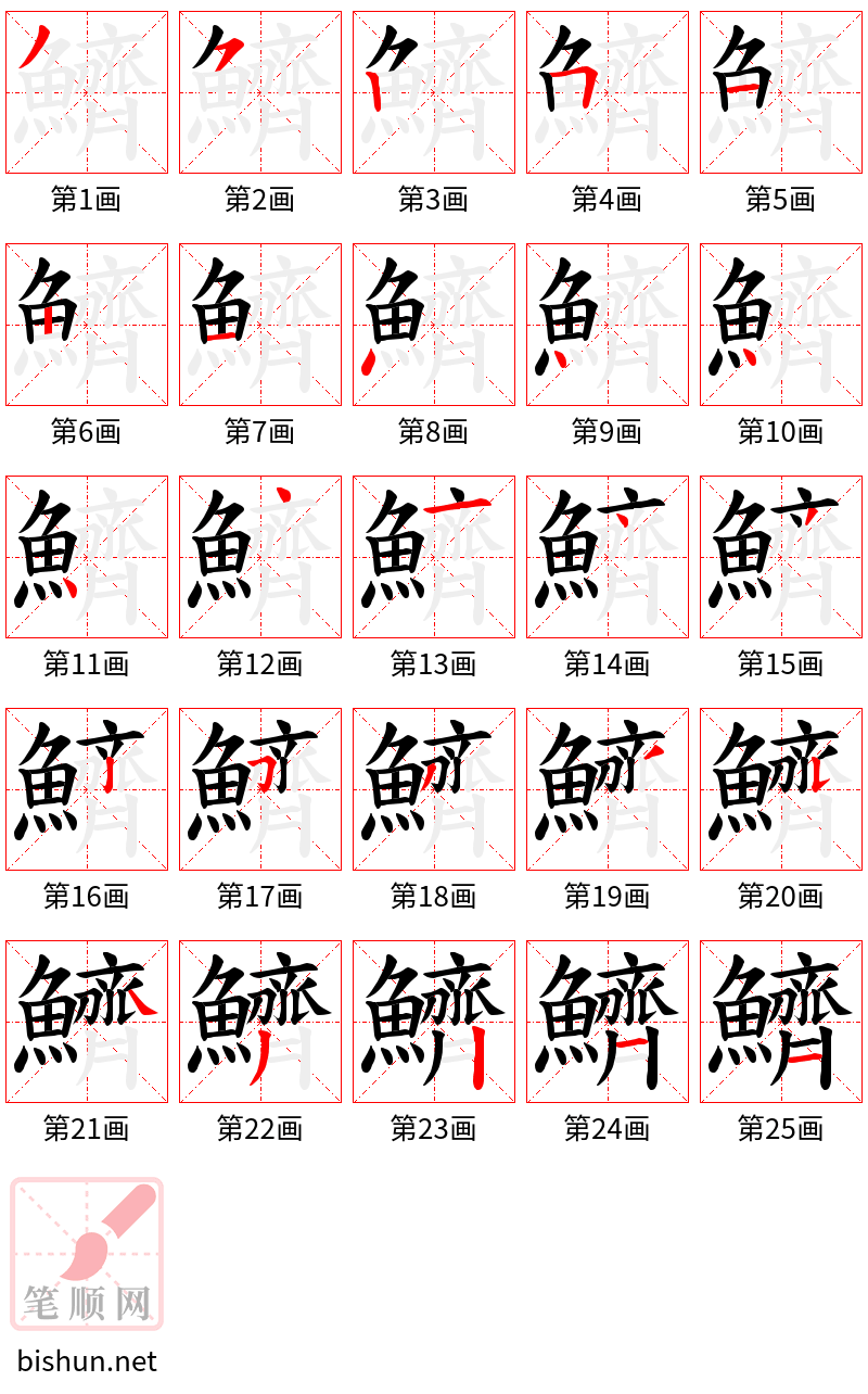 鱭 笔顺规范