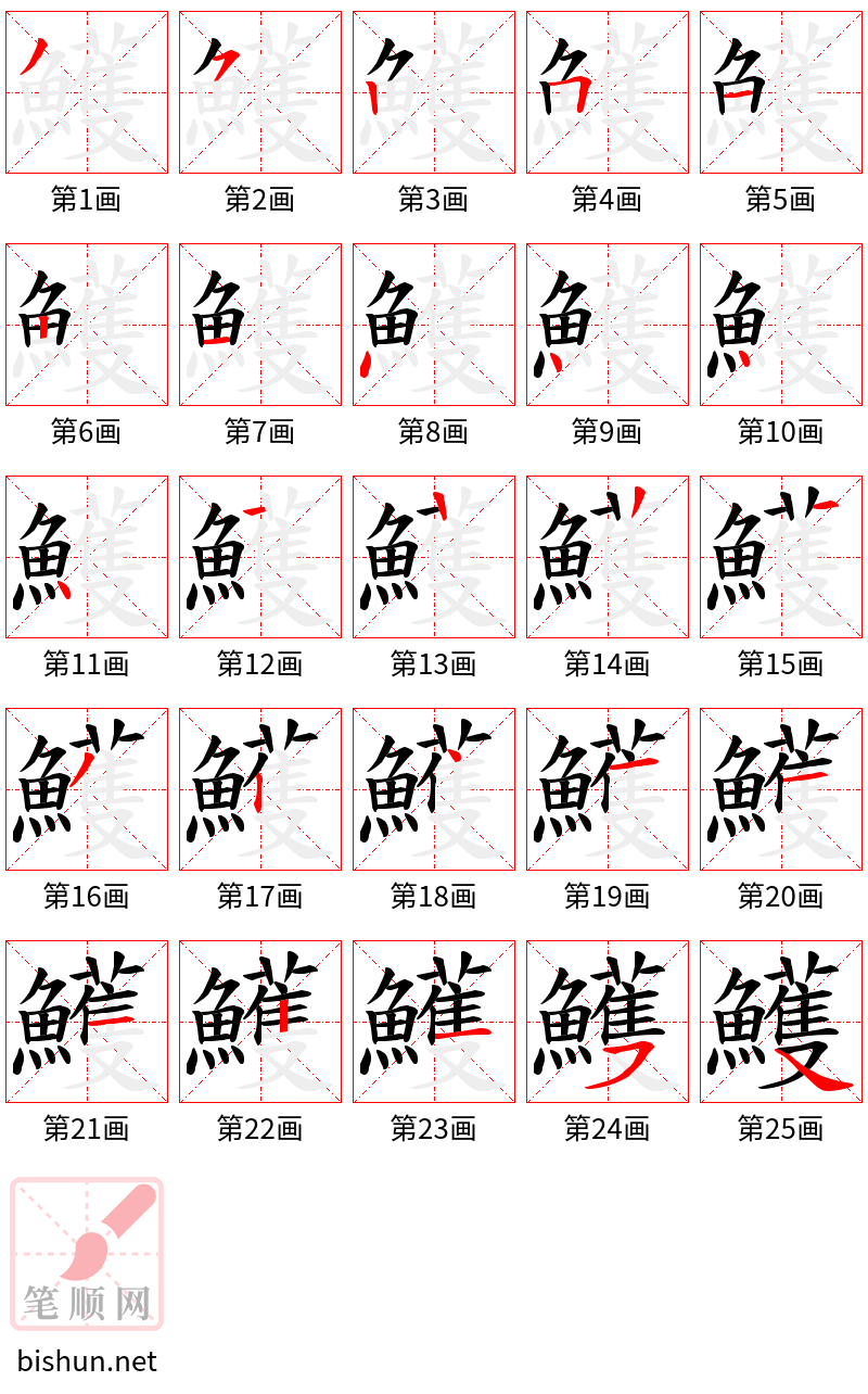 鱯 笔顺规范