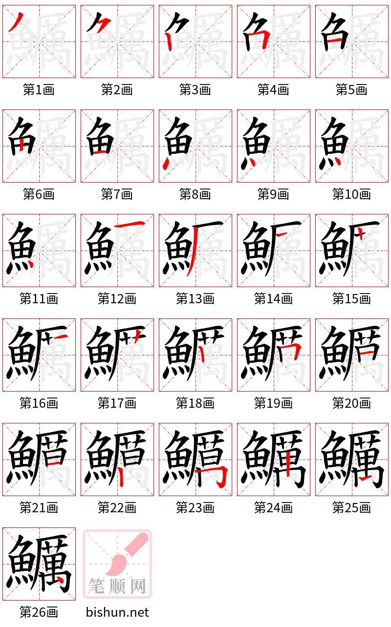 鱱 笔顺规范