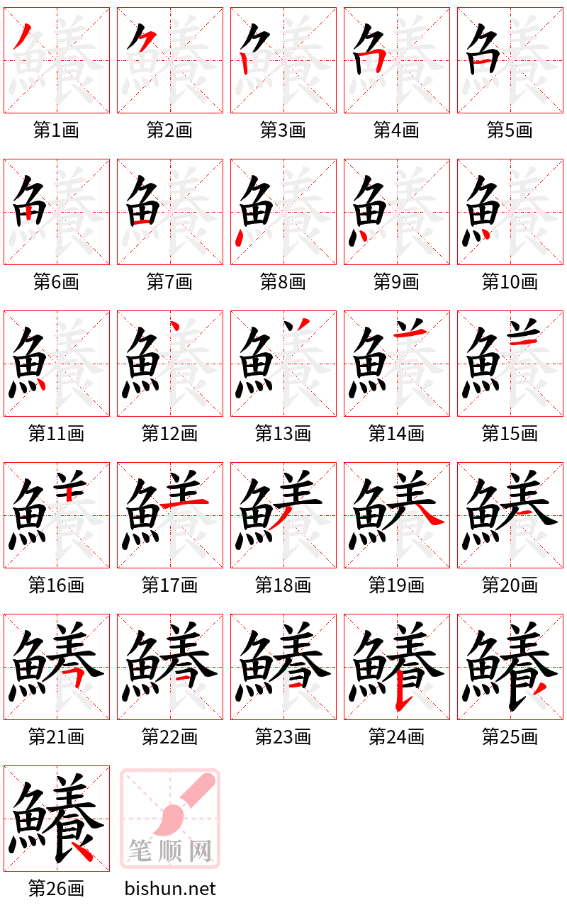 鱶 笔顺规范