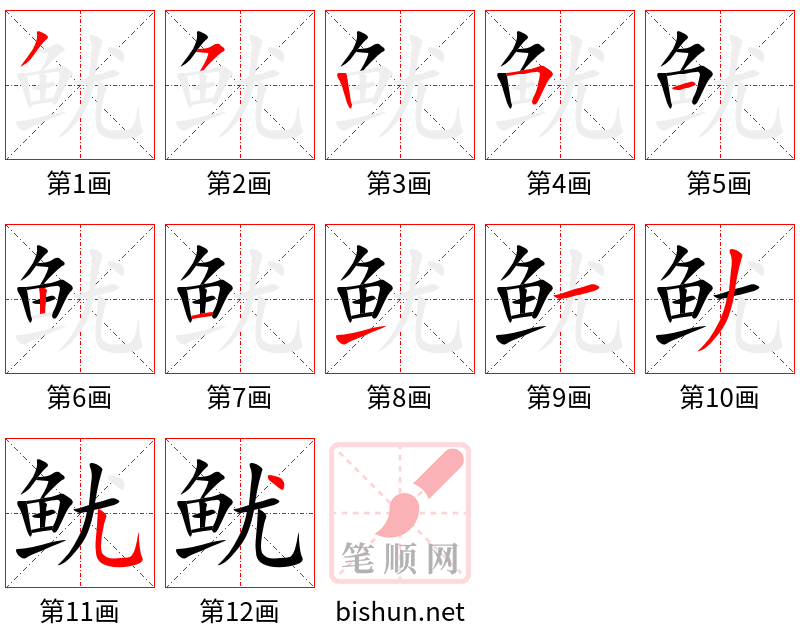 鱿 笔顺规范