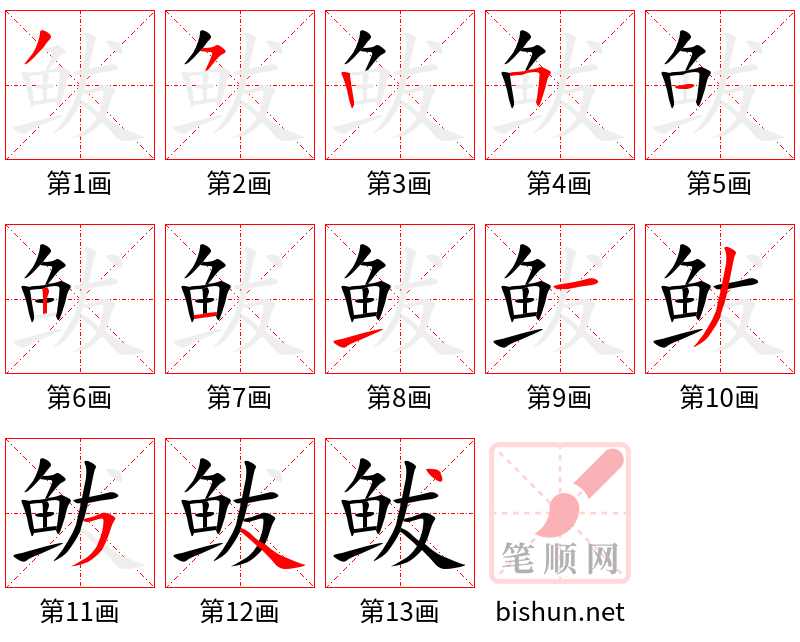 鲅 笔顺规范