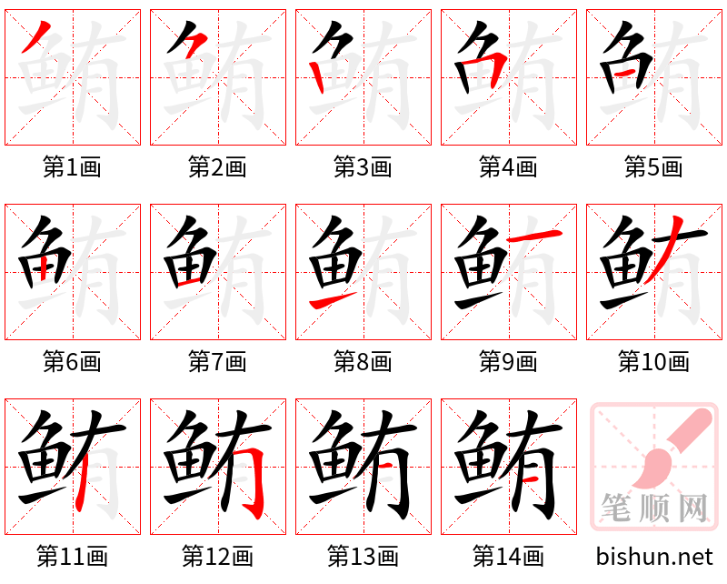 鲔 笔顺规范