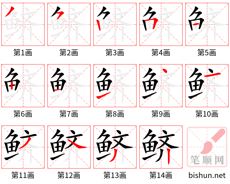 鲚 笔顺规范