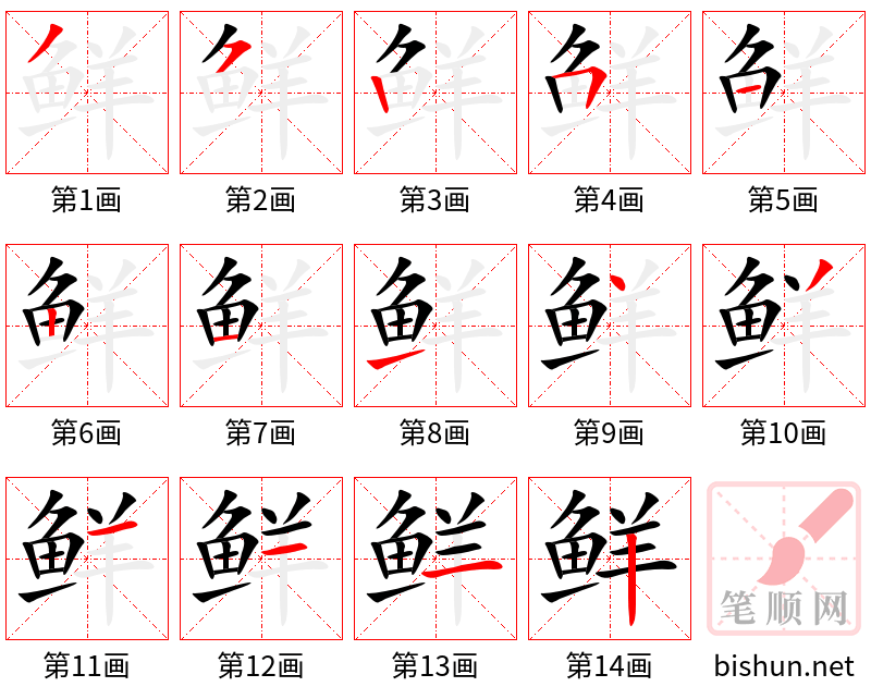 鲜 笔顺规范