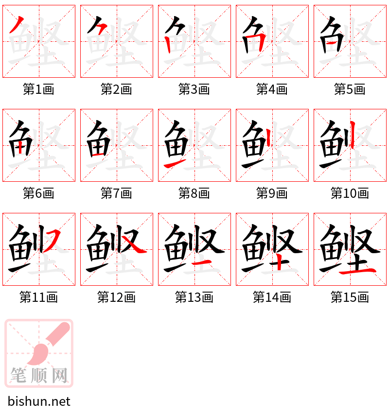 鲣 笔顺规范