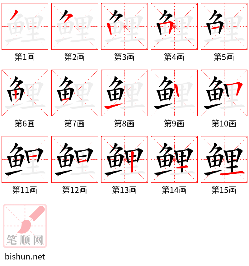 鲤 笔顺规范