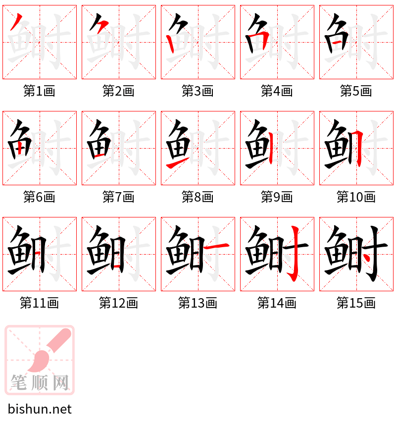 鲥 笔顺规范