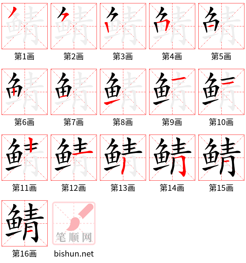 鲭 笔顺规范