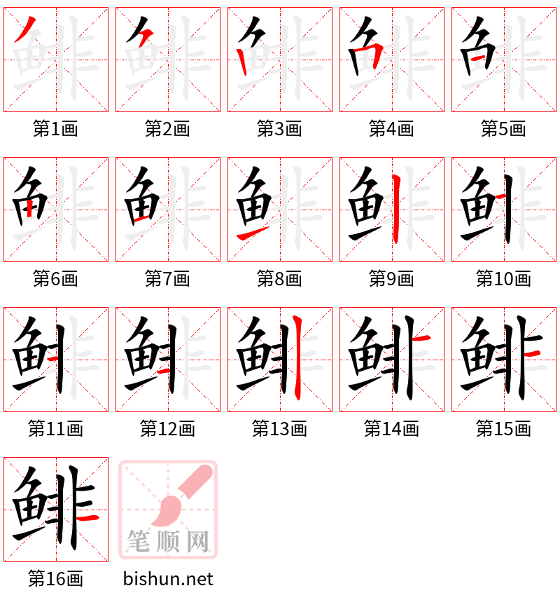 鲱 笔顺规范