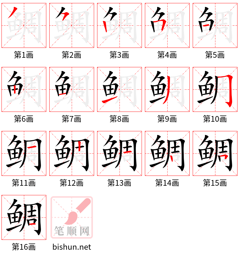 鲷 笔顺规范