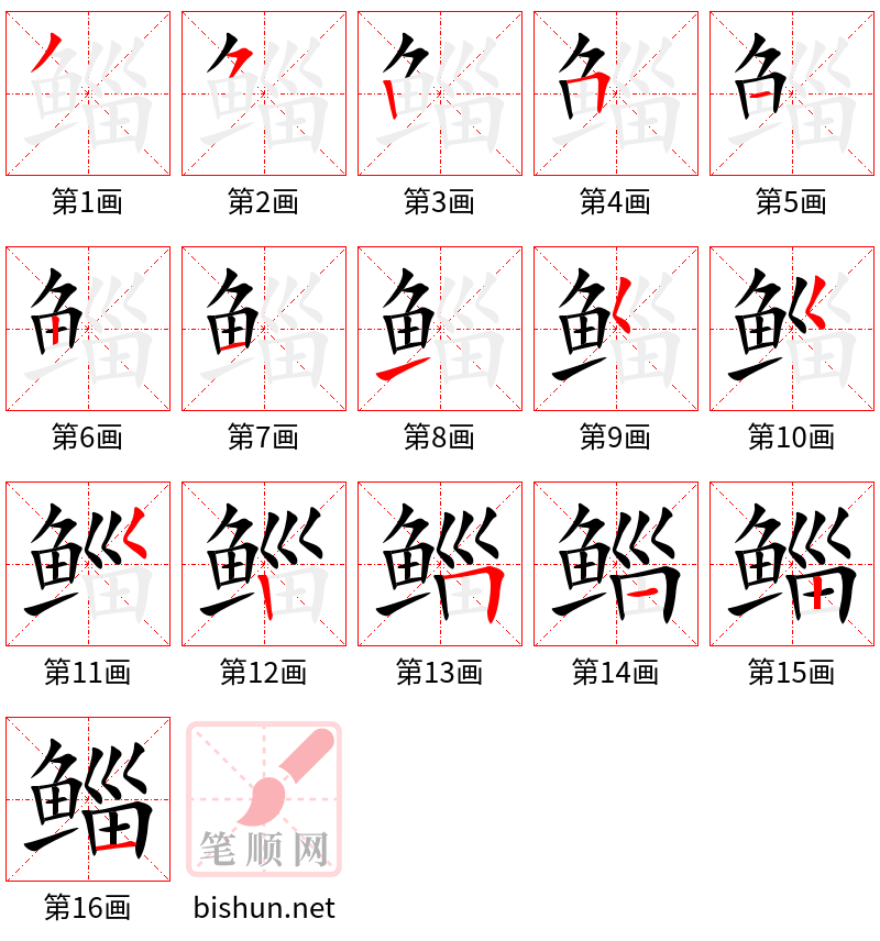 鲻 笔顺规范