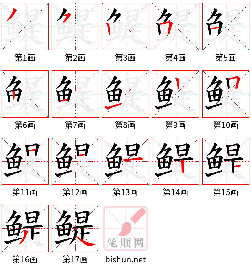 鳀 笔顺规范