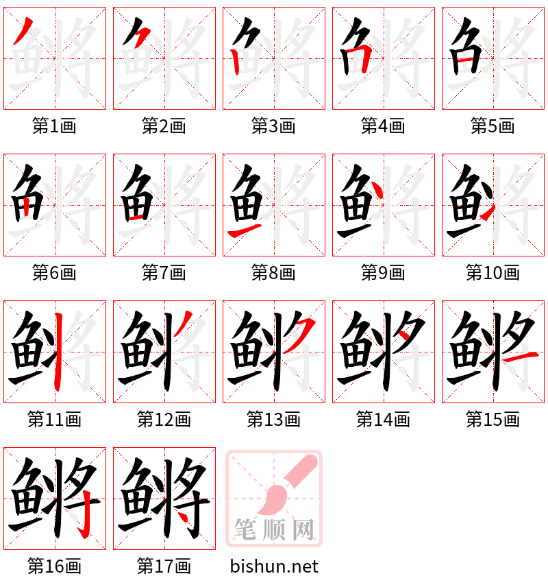 鳉 笔顺规范