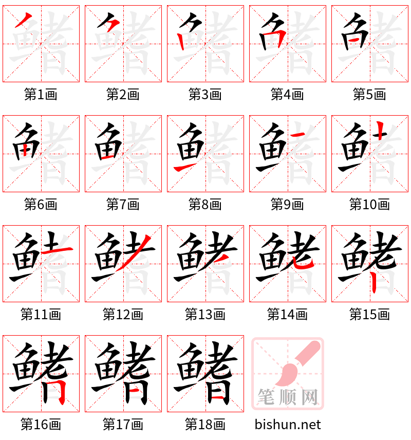 鳍 笔顺规范