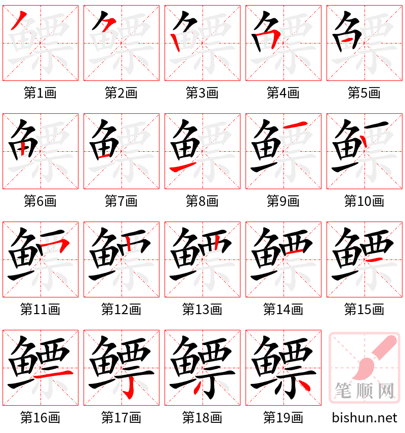 鳔 笔顺规范