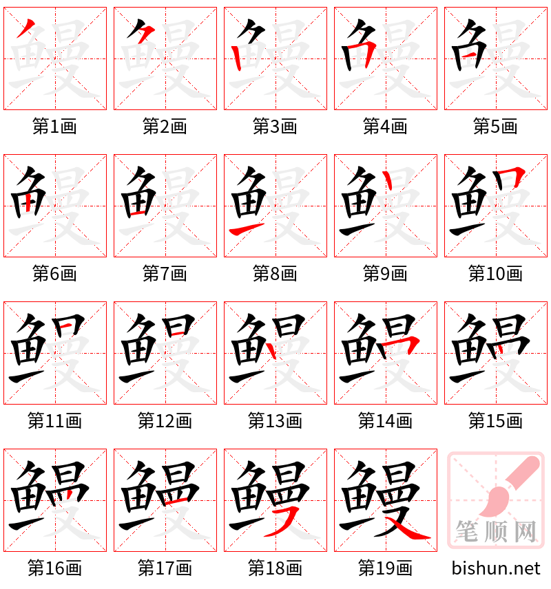 鳗 笔顺规范