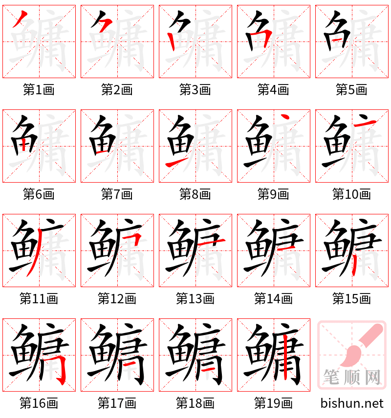 鳙 笔顺规范