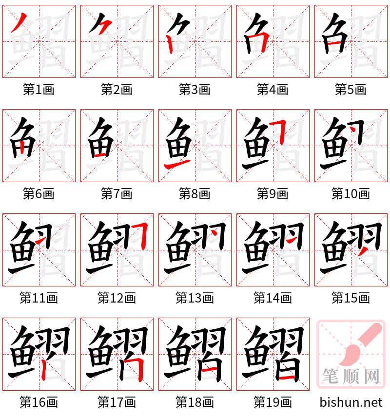 鳛 笔顺规范