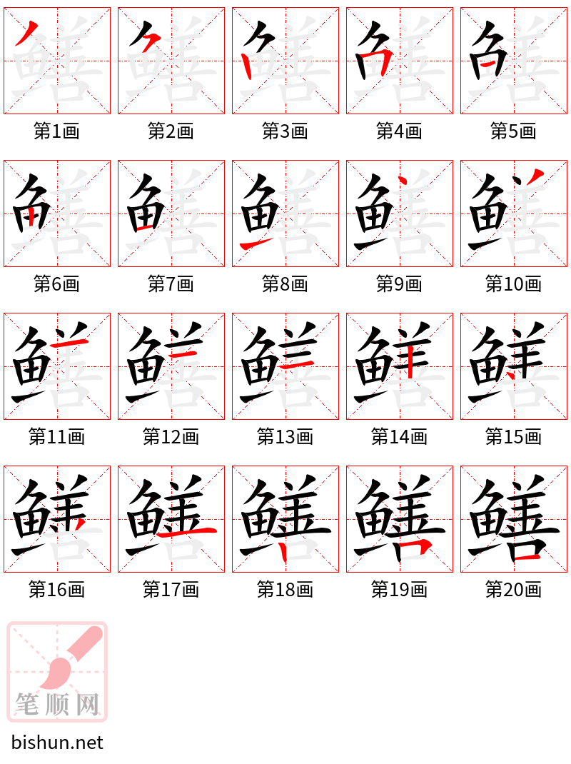 鳝 笔顺规范