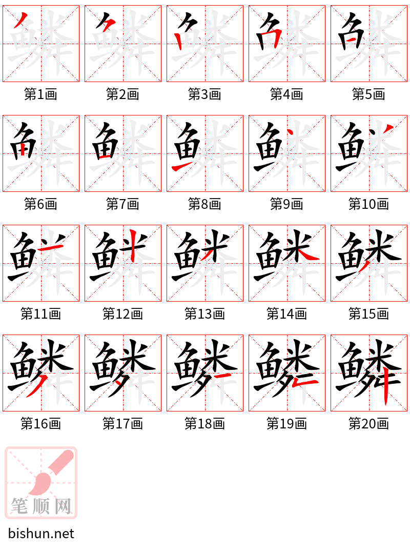 鳞 笔顺规范