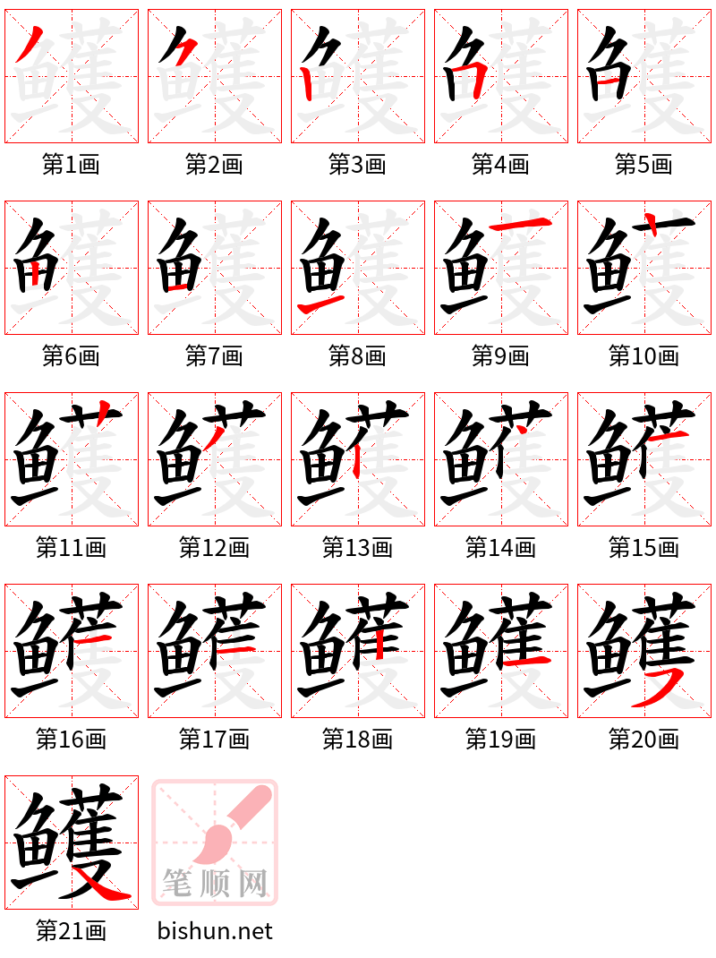 鳠 笔顺规范