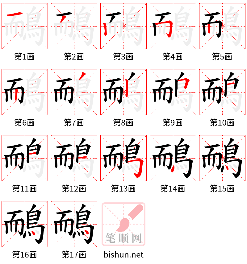 鴯 笔顺规范