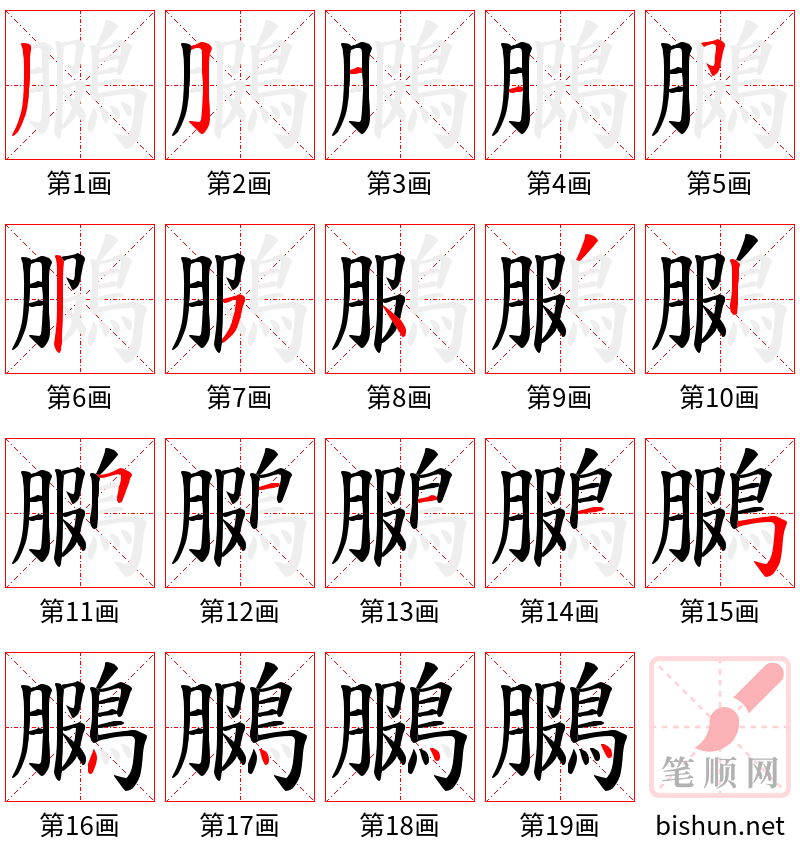 鵩 笔顺规范