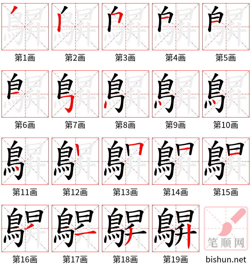 鵿 笔顺规范