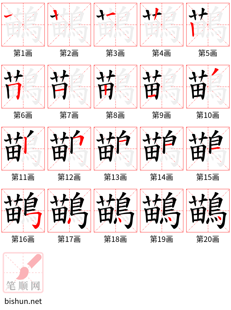 鶓 笔顺规范