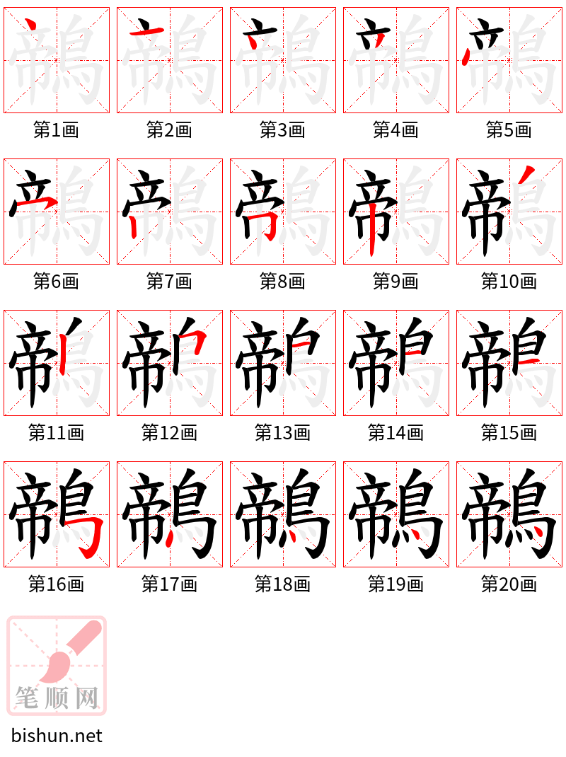 鶙 笔顺规范