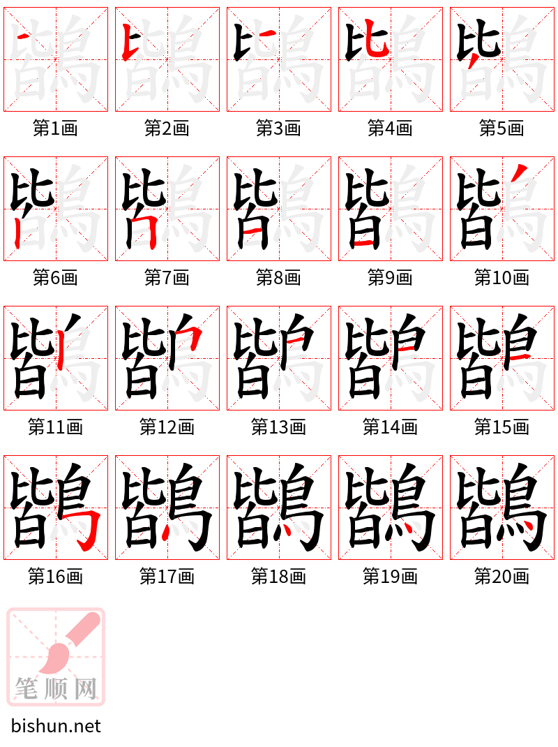 鶛 笔顺规范