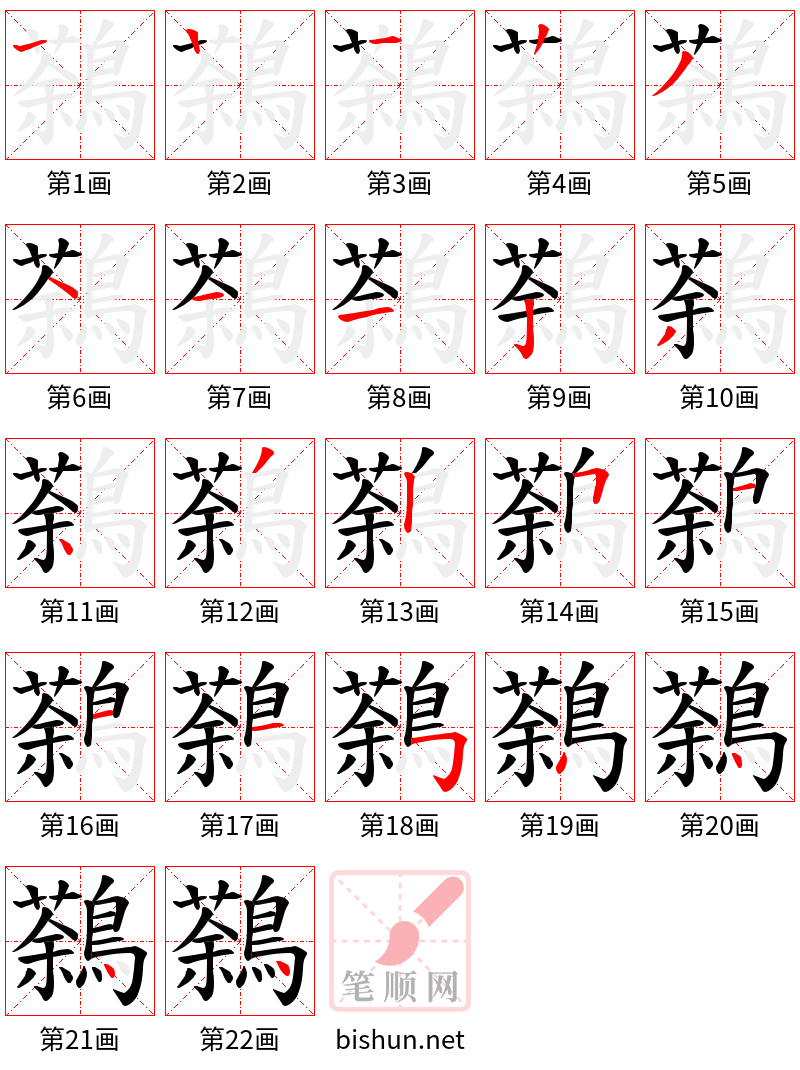 鷋 笔顺规范