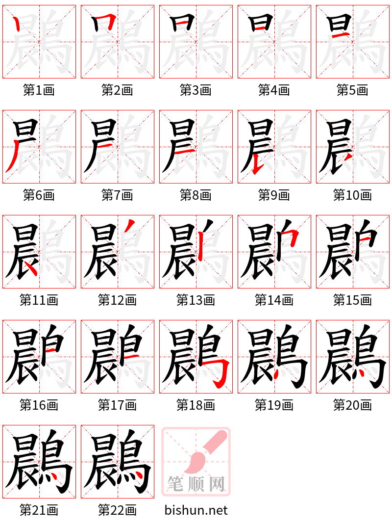 鷐 笔顺规范