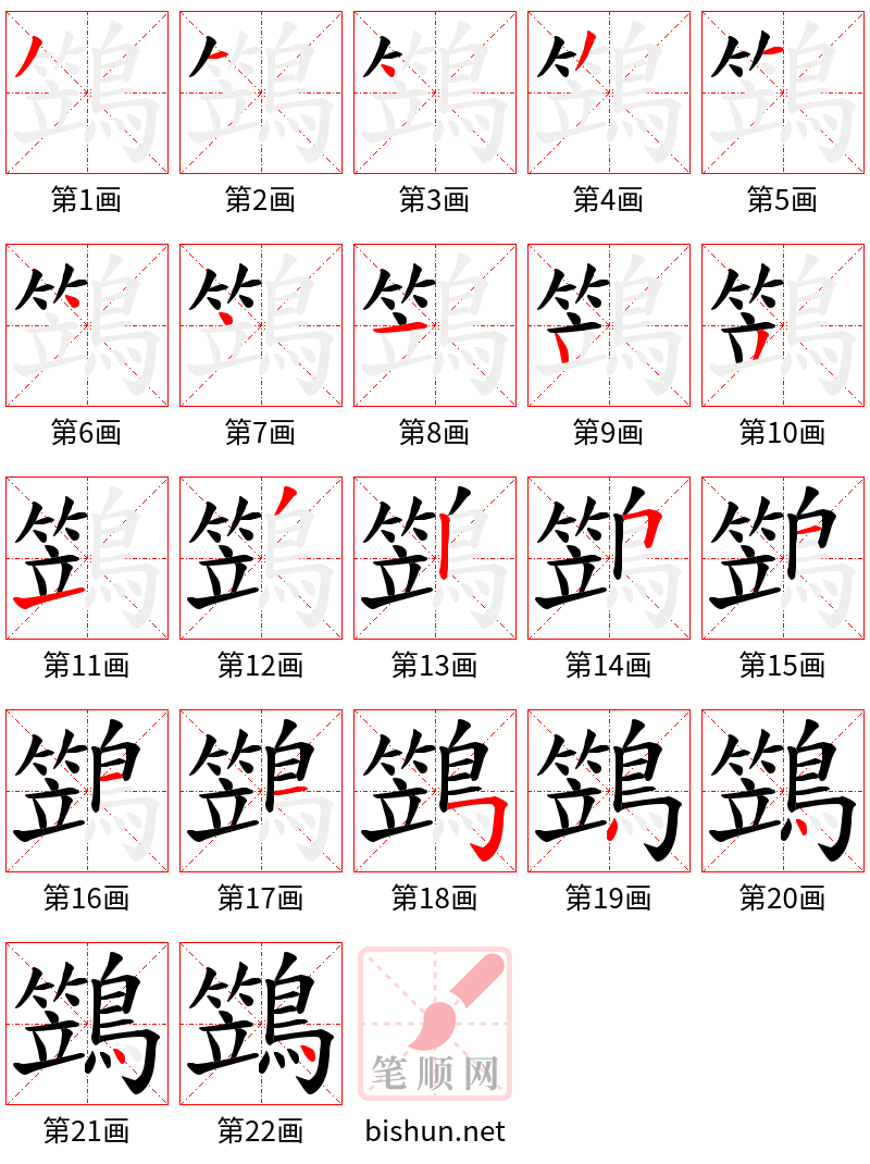 鷑 笔顺规范