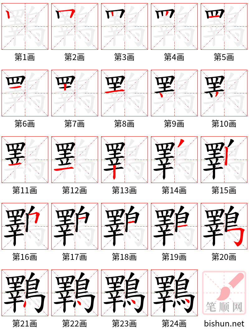 鸅 笔顺规范