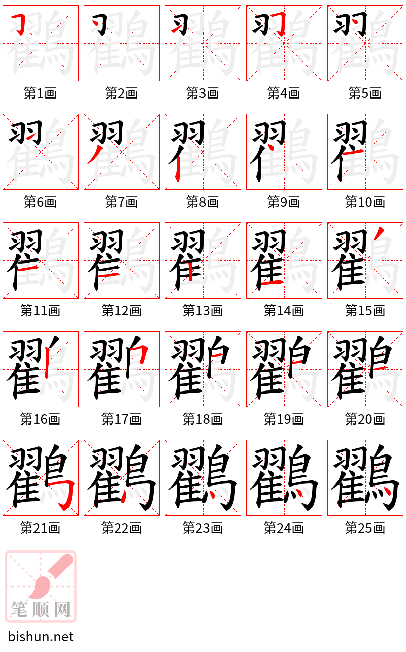 鸐 笔顺规范