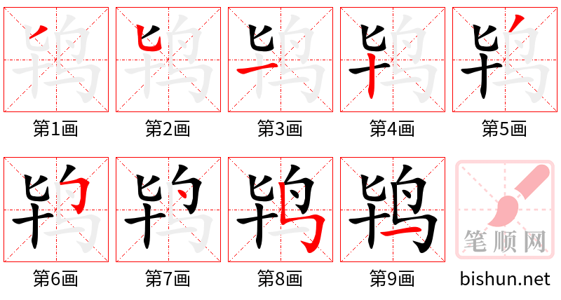 鸨 笔顺规范